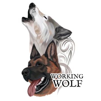 Working Wolf Dog Training
